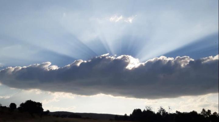 Bateleur Nature Reserve