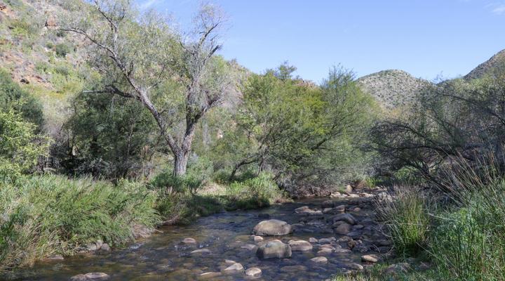 De Oude Meul Country Lodge