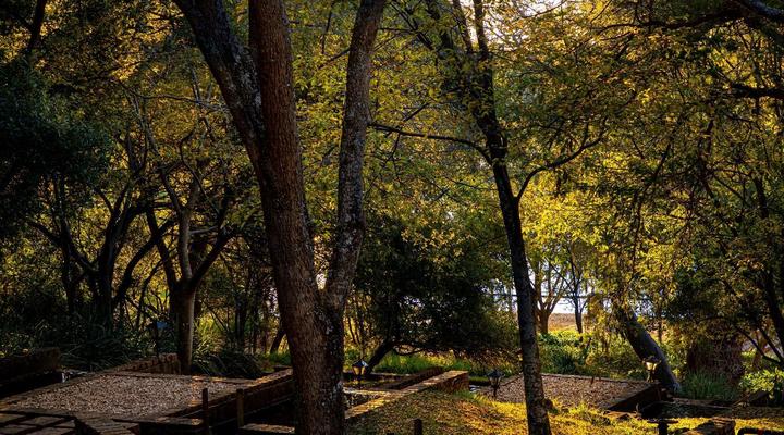 Valley of the Rainbow Fly Fishing Estate