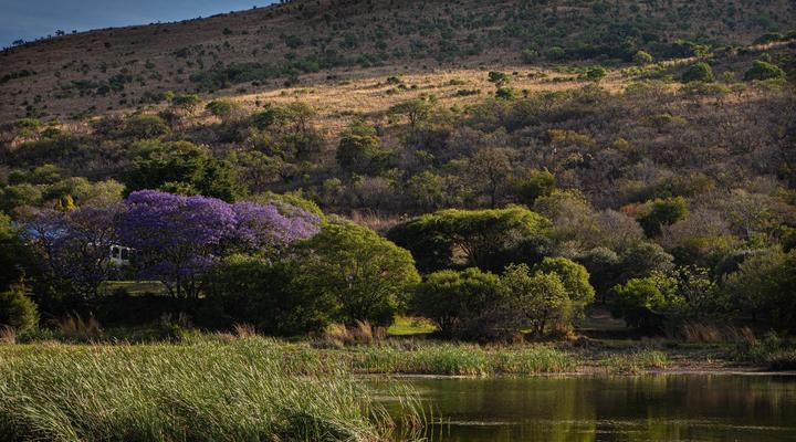 Valley of the Rainbow Fly Fishing Estate