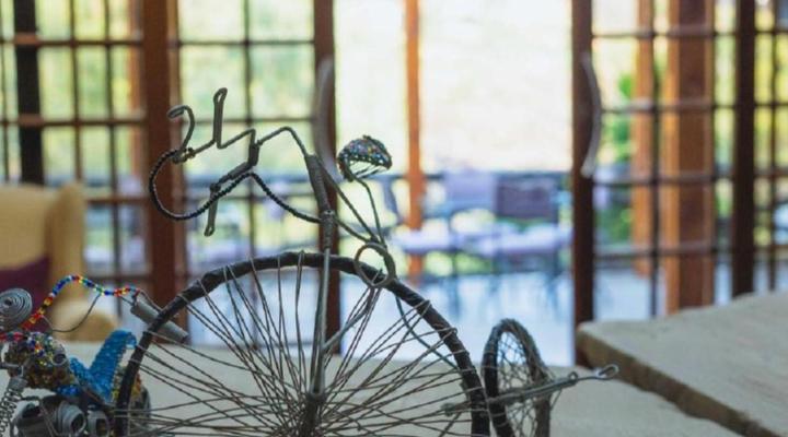 Pretoria Mansion Coral Tree Inn