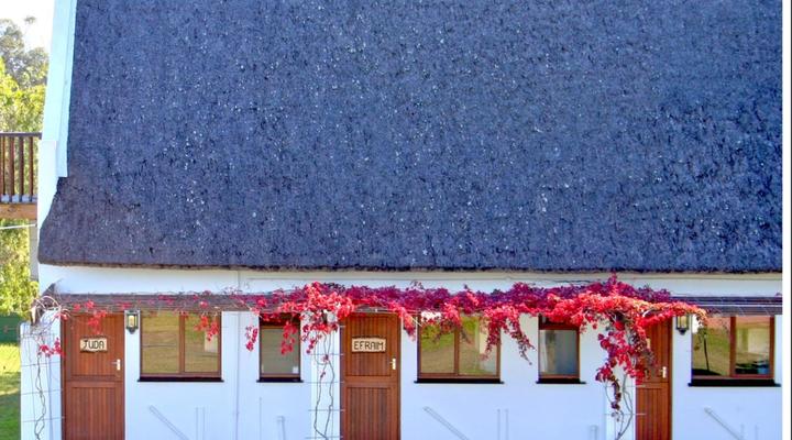 Zoutpan Struishuis Guest Farm