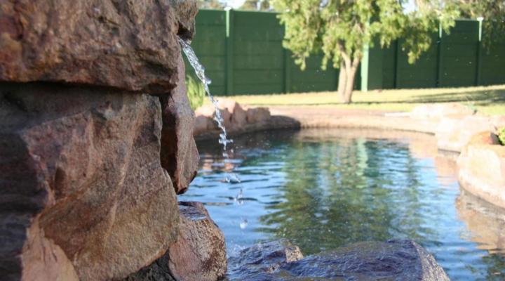 Zoutpan Struishuis Guest Farm