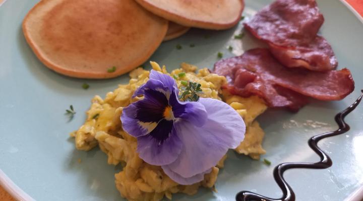 Kleinzee Oceanfront Guest House