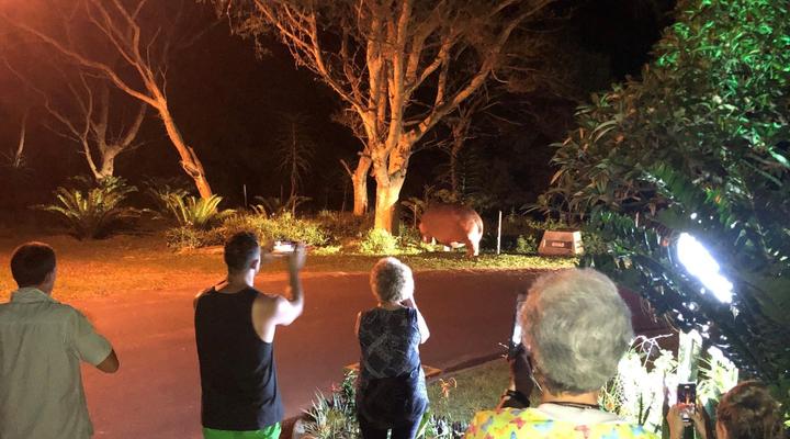 Leopard Corner Lodge