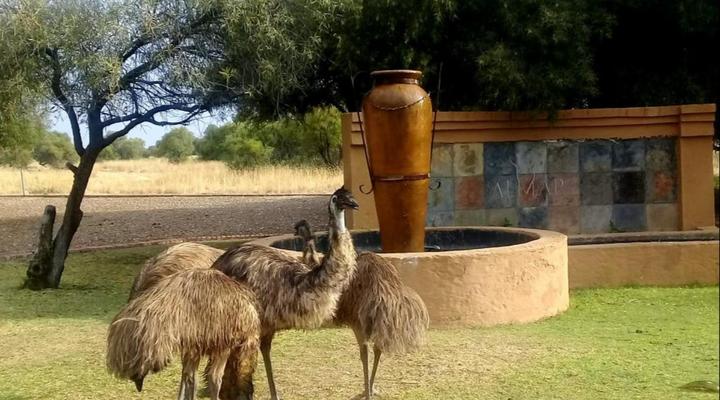 Almar Exclusive Game Ranch