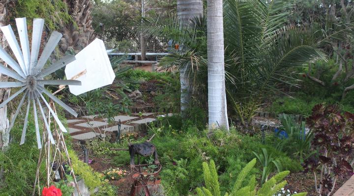 The Golden Grape Bed and Breakfast