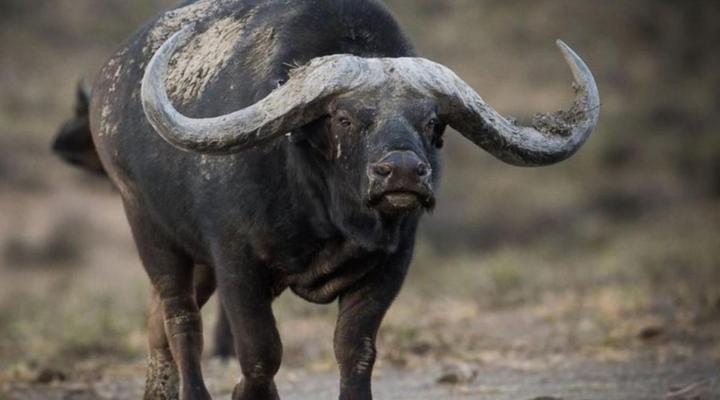 Quaggasfontein Private Game Reserve