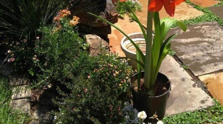 Breena BnB Guest House