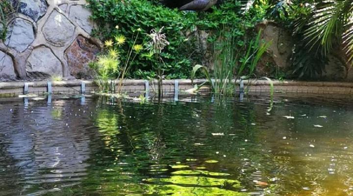 Breena BnB Guest House