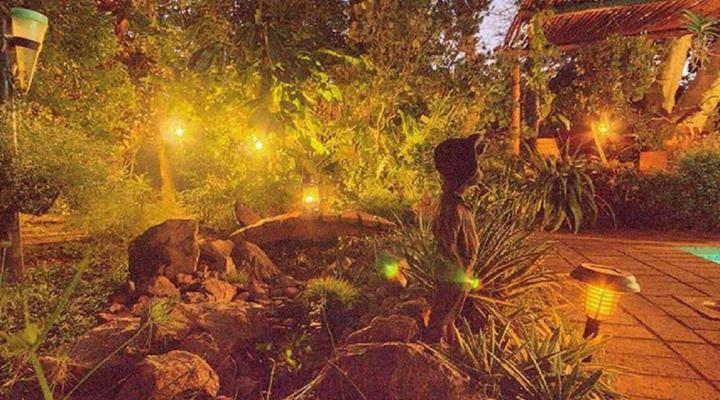 Raptor's Rest Bed and Breakfast