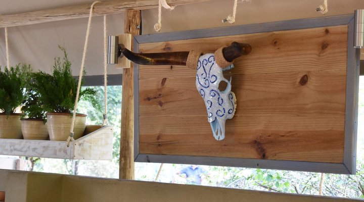 Bundox Safari Lodge