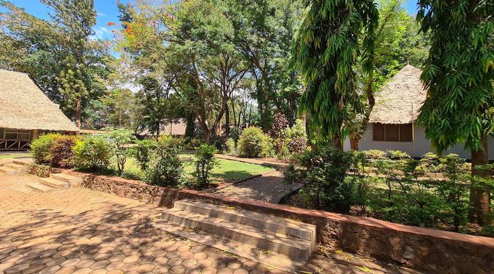 Honey Badger Lodge, Safaris and Mountain Climbing