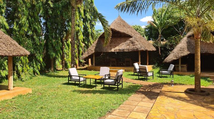 Honey Badger Lodge, Safaris and Mountain Climbing