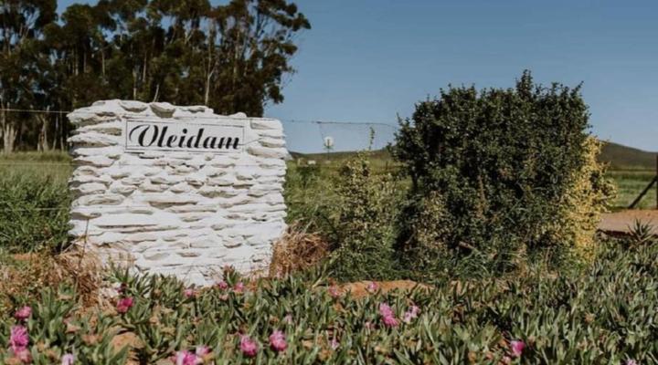Vleidam Guest Farm