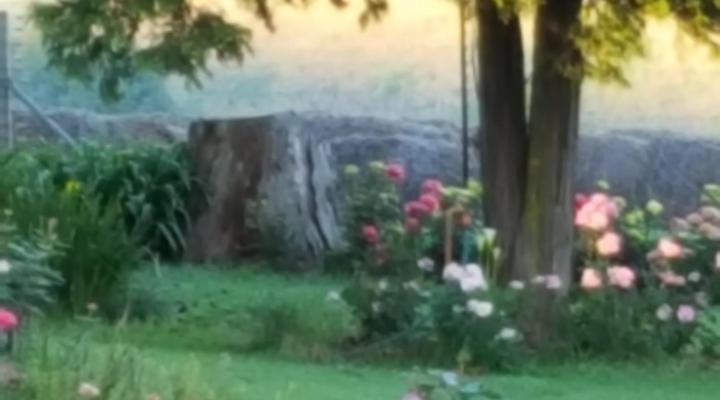 Piccadilly Farm Cottage