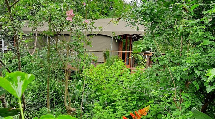 The Bird Hide