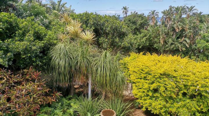 Ridgeview Holiday Accommodation