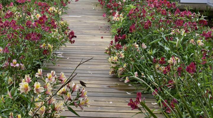 Mosswood Bed & Breakfast