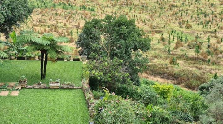 Mountain Rose Guesthouse