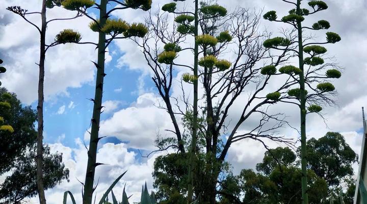 Klipfontein Farm House