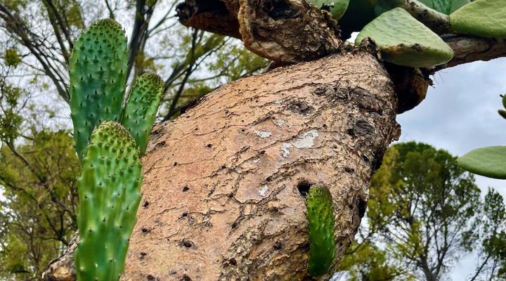 Klipfontein Farm House