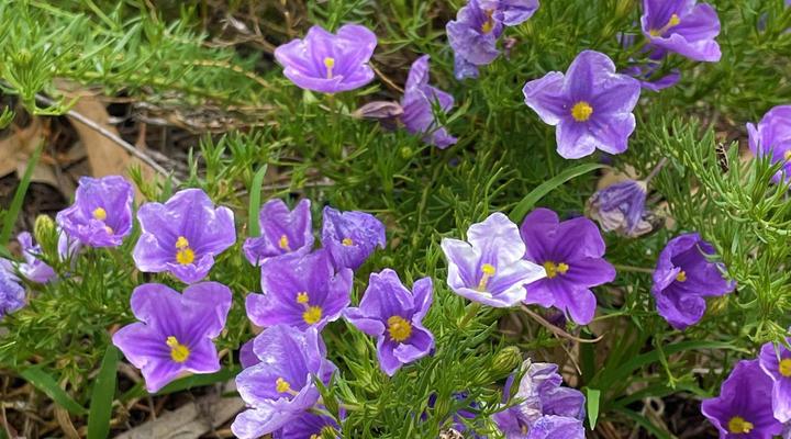 Klipfontein Farm House