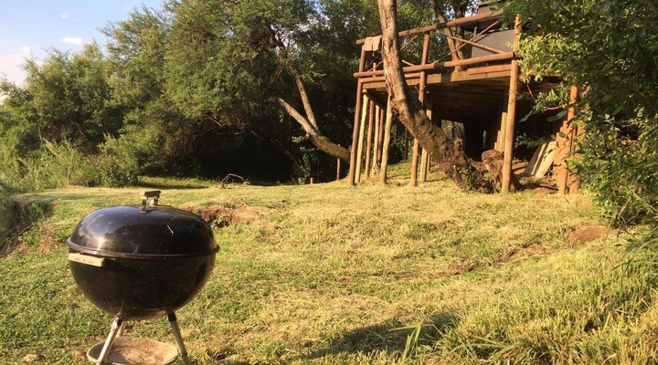 Fish Eagle Log Cabin