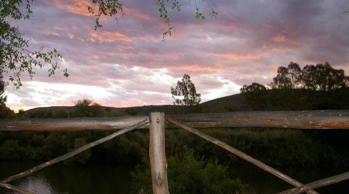 Fish Eagle Log Cabin