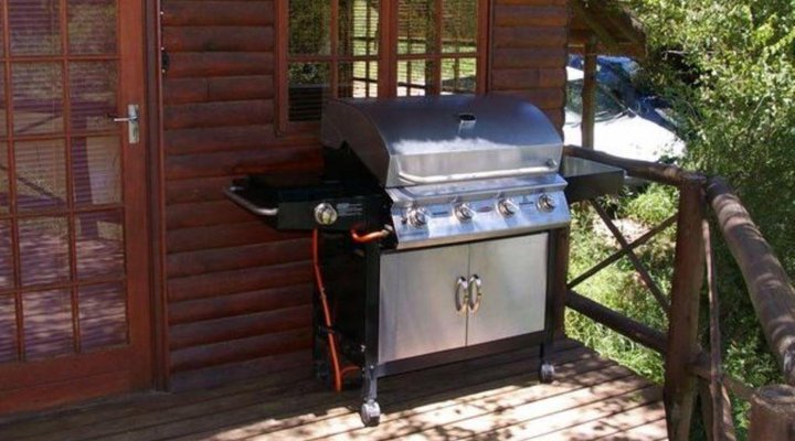 Fish Eagle Log Cabin