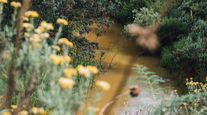 The River Wellness & Spa at Zwakala River Retreat