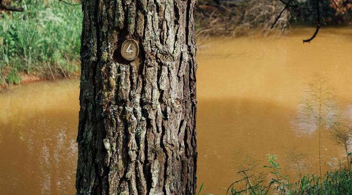 The River Wellness & Spa at Zwakala River Retreat