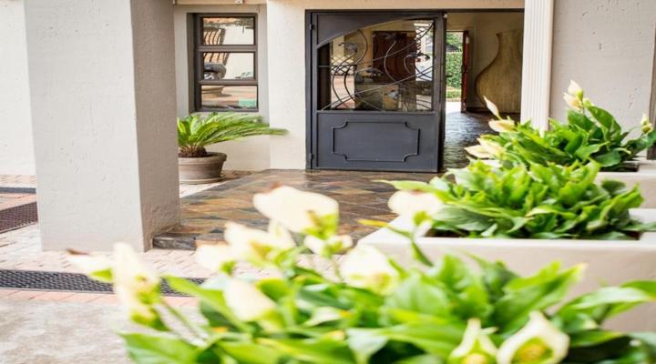 The Wild Olive Guest House