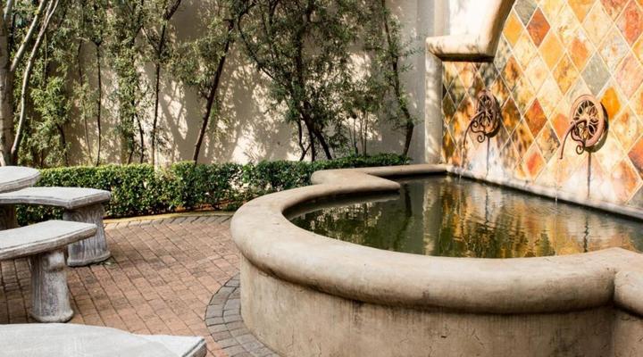 The Wild Olive Guest House