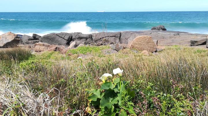 Rockview Guest House