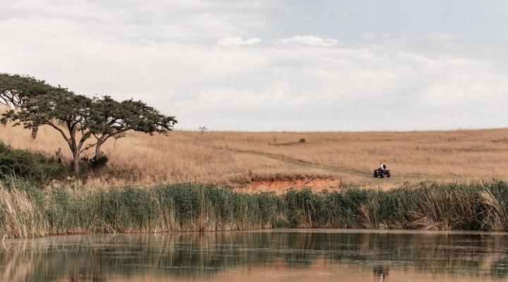 Dawsons Game and Trout Lodge