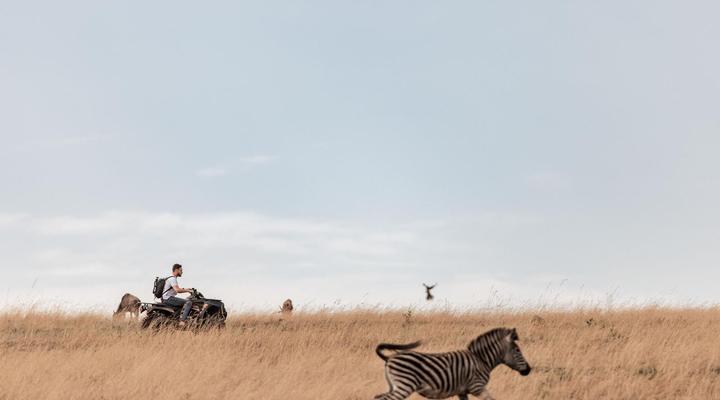 Dawsons Game and Trout Lodge