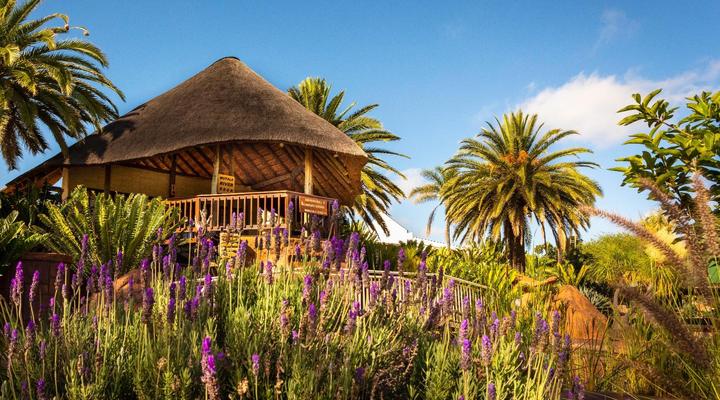 Bolivia Lodge Polokwane (Pty) Ltd