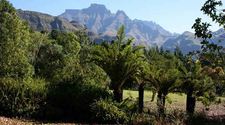 Ondini Guest House & Cottage