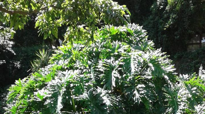 The Bedford View Guest House