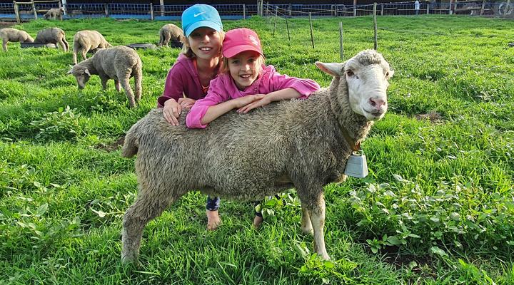 Copperleigh Trout Cabin