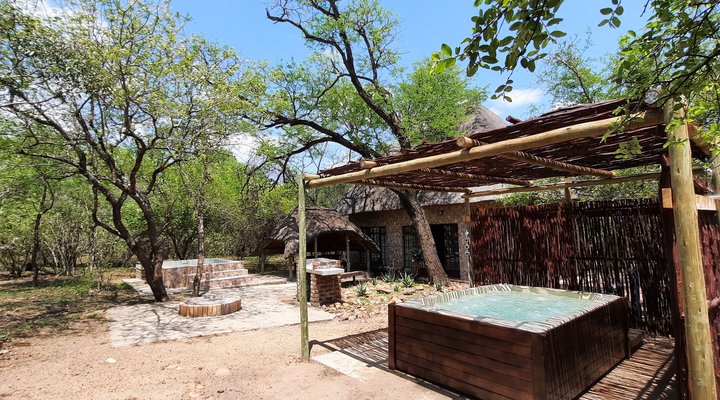 Bush Beach Olifant