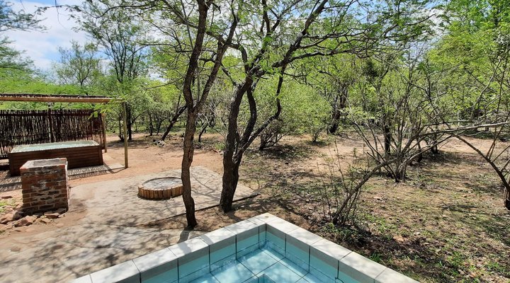 Bush Beach Olifant