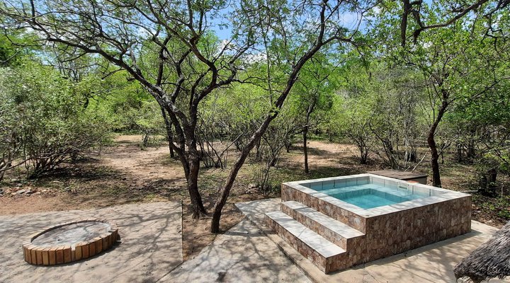 Bush Beach Olifant