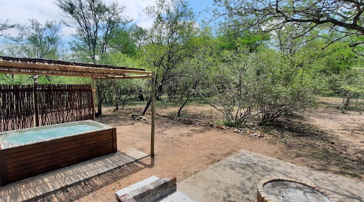 Bush Beach Olifant