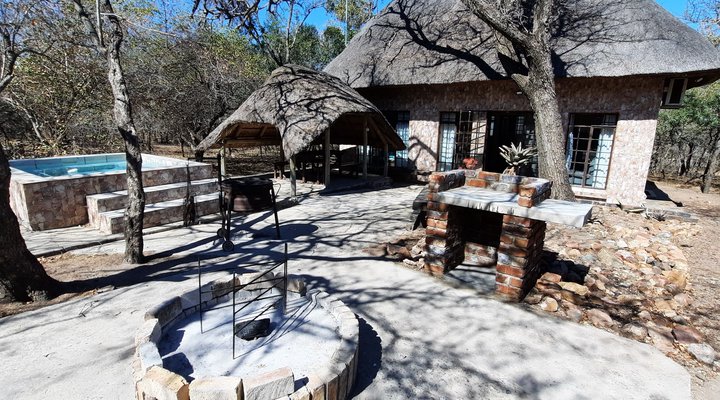 Bush Beach Olifant