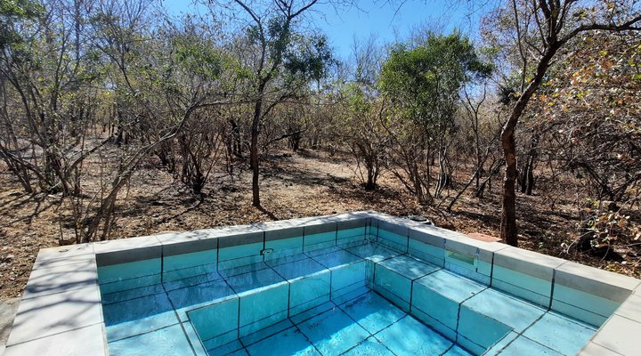 Bush Beach Olifant