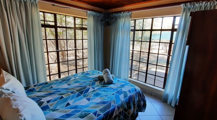 Bush Beach Olifant