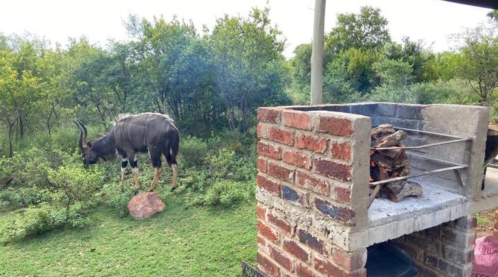 Waterberg Wilderness Reserve