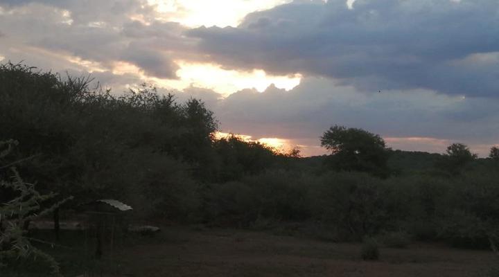 Paradys Bosveld Lodge